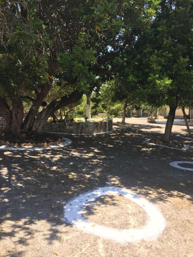 Auberge de jeunesse Αγρόκτημα Χελωναριά - Agroktima Chelonaria à Chrani Extérieur photo