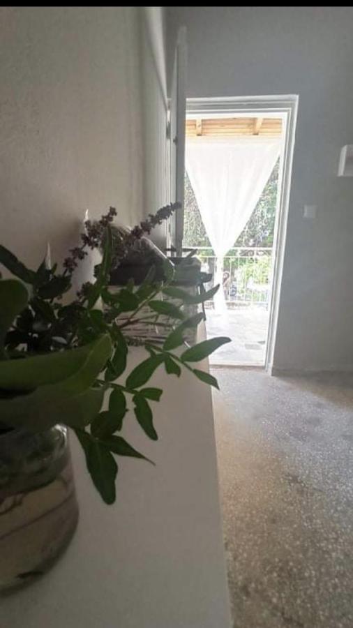Auberge de jeunesse Αγρόκτημα Χελωναριά - Agroktima Chelonaria à Chrani Extérieur photo