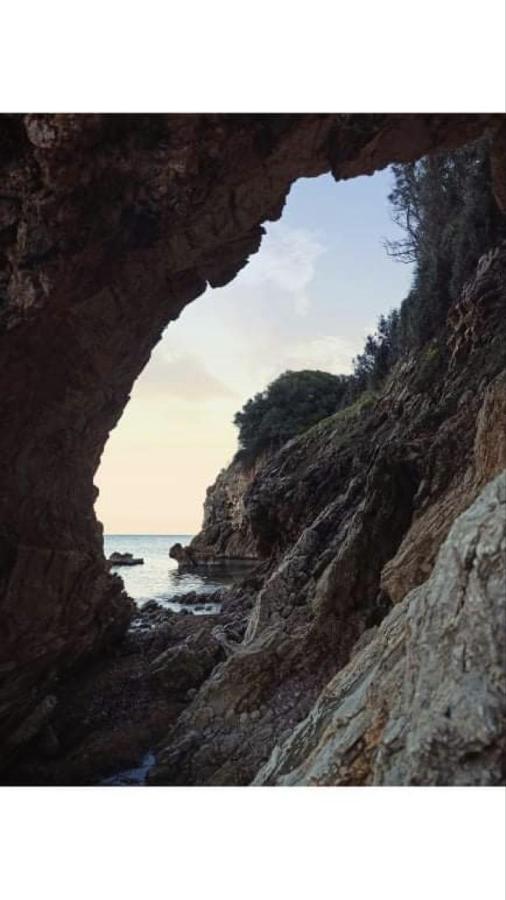 Auberge de jeunesse Αγρόκτημα Χελωναριά - Agroktima Chelonaria à Chrani Extérieur photo