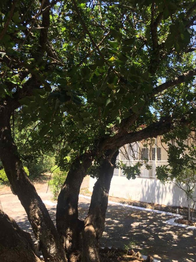Auberge de jeunesse Αγρόκτημα Χελωναριά - Agroktima Chelonaria à Chrani Extérieur photo