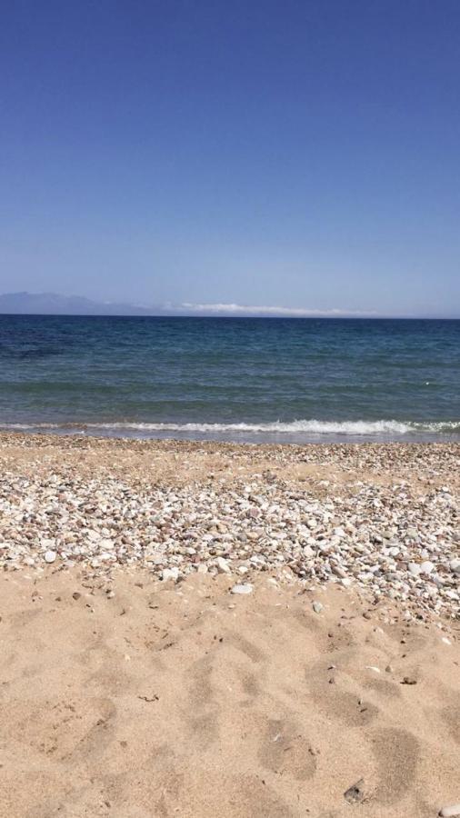 Auberge de jeunesse Αγρόκτημα Χελωναριά - Agroktima Chelonaria à Chrani Extérieur photo