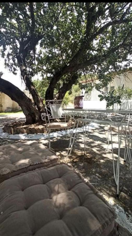 Auberge de jeunesse Αγρόκτημα Χελωναριά - Agroktima Chelonaria à Chrani Extérieur photo